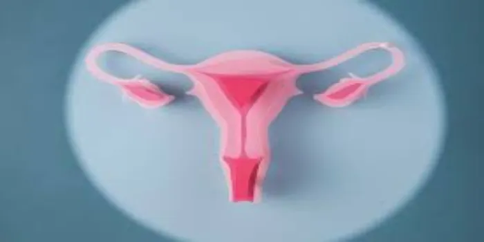 Causes and Symptoms of Bulky Uterus