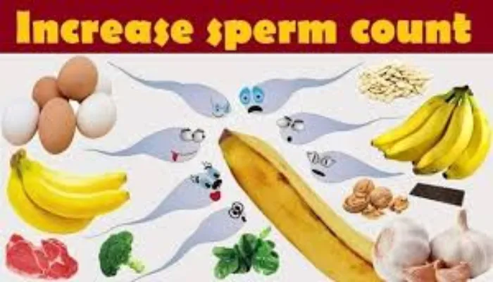 Best food to increase sperm count and Motility to Boost Male Fertility