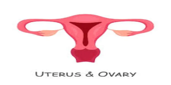 Is ovary size can affect pregnancy?