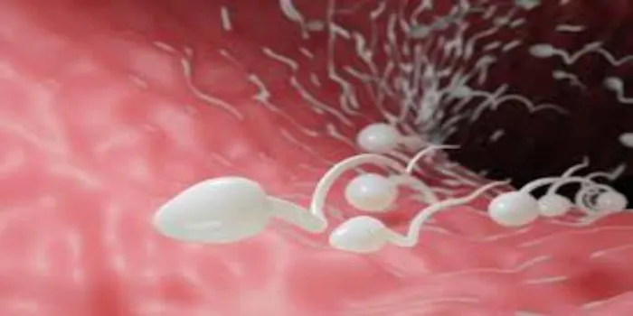 How to Confirm Whether Sperm Went Inside?